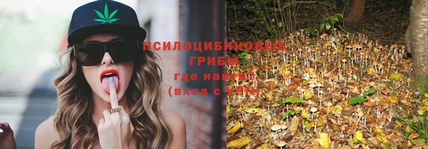 ешки Иннополис