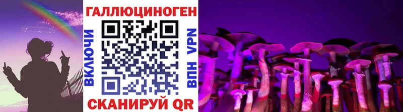 Псилоцибиновые грибы прущие грибы Купить Нюрба