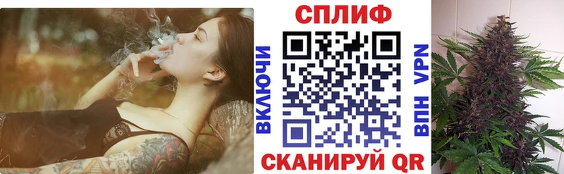 Купить  Нюрба  Канабис Ganja 